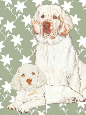 Clumber Spaniel Blank Note Card