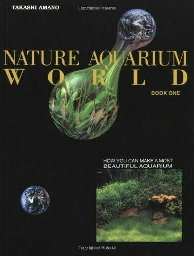 NATURE AQUARIUM WORLD: HOW YOU CAN MAKE A MOST BEAUTIFUL