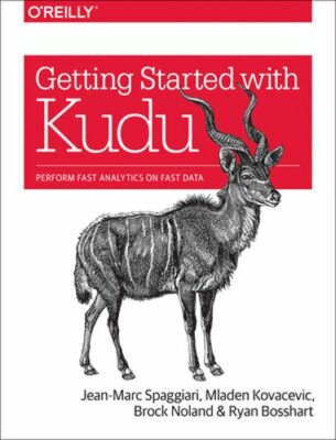 Getting Started with Kudu: Perform Fast Analytics on Fast Data by Spaggiari: New