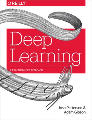 Deep Learning: A Practitioner's Approach by Gibson, Adam [Paperback]
