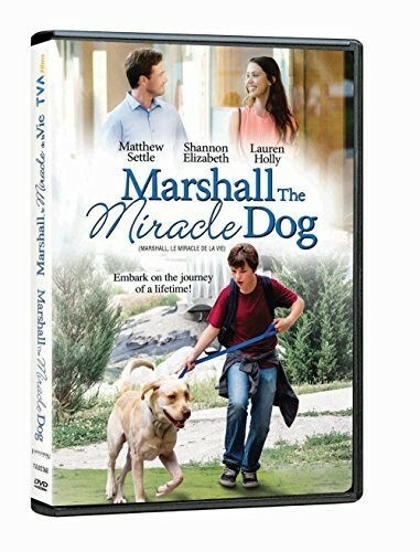 Marshall the Miracle Dog (Aka Marshall's Miracle) (DVD, 2015) for sale ...