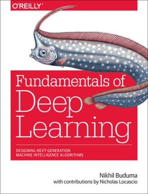 Fundamentals of Deep Learning: Designing Next-Generation Machine Intelligence