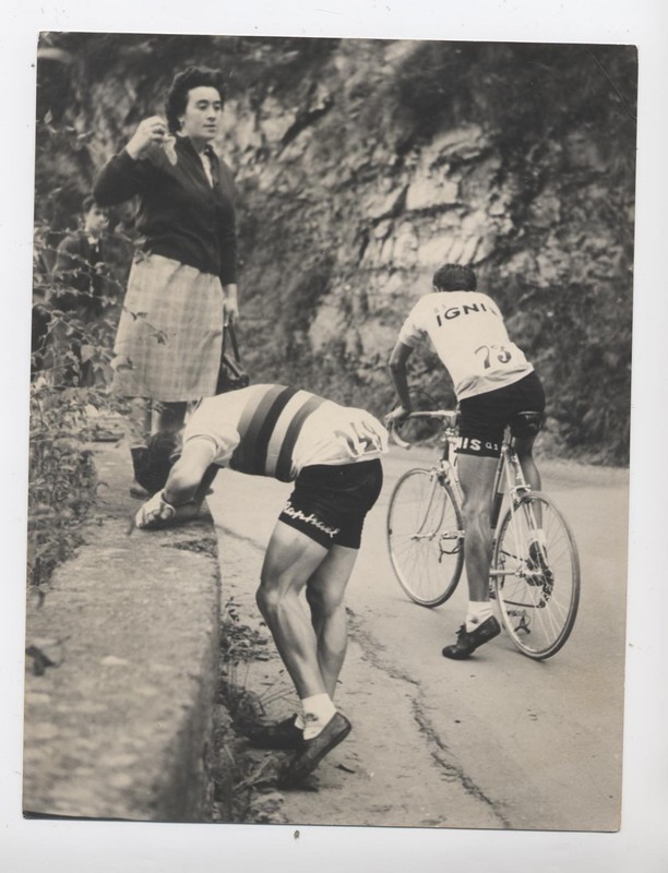 Photo Milano 1962 Tour De Lombardie Stablinski Se Retire AprÃS Sa Chute Cyclisme