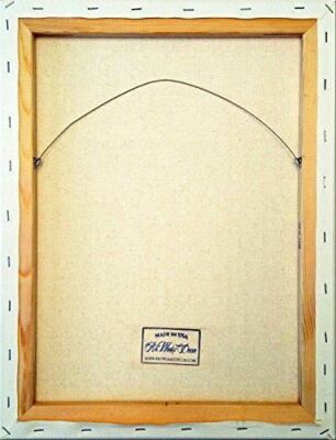 White Peacock Picture on Stretched Canvas, Wall Art Décor, Ready to Hang!