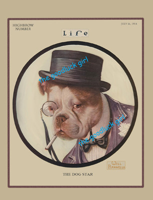 THE DOG STAR Bull Dog 8x10 Vintage Life magazine cover Art print Will Rannells