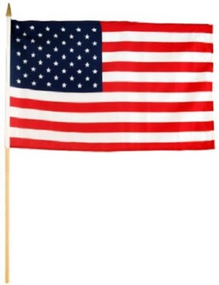 6x9 6''x9'' USA U.S.A. American Stick Flag wood Wooden Staff
