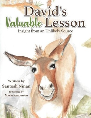 Santosh Ninan David's Valuable Lesson (Paperback)