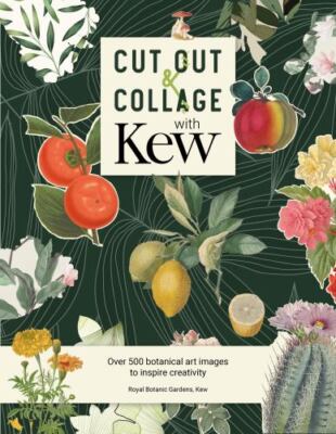 Botanical Art to Cut Out and Collage: Over 500 botanical illustrations to inspi