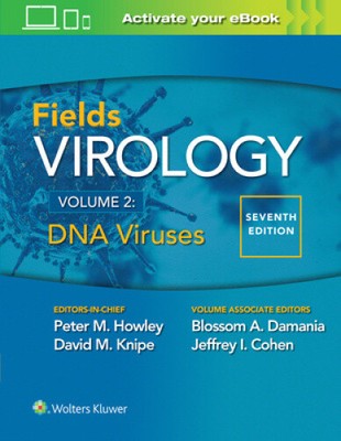 Fields Virology: DNA Viruses by Howley, Peter M. [Hardback]