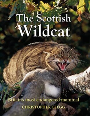 The Scottish Wildcat: Britain's mos..., Christopher Cle
