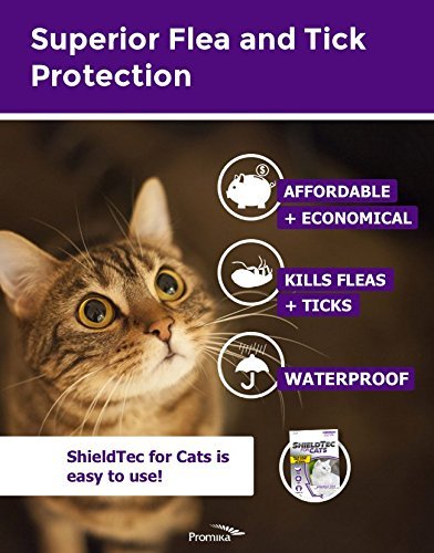 ShieldTec Flea Tick and Lice Prevention for Cats,with Fipronil, 3 pack, 1.5 lbs+