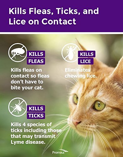 ShieldTec Flea Tick and Lice Prevention for Cats,with Fipronil, 3 pack, 1.5 lbs+