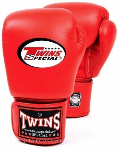 Twins Boxing Gloves