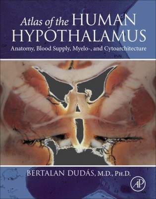 Atlas of the Human Hypothalamus: Anatomy, Blood Supply, Myelo-, and