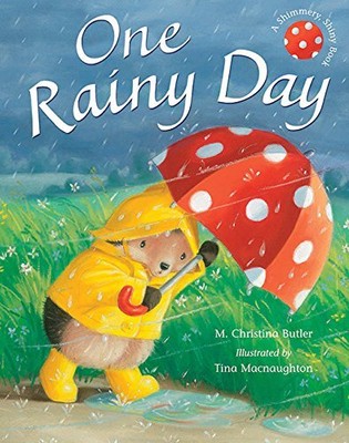 ONE RAINY DAY (SHIMMERY, SHINY BOOKS) By M. Christina Butler & Tina Macnaughton