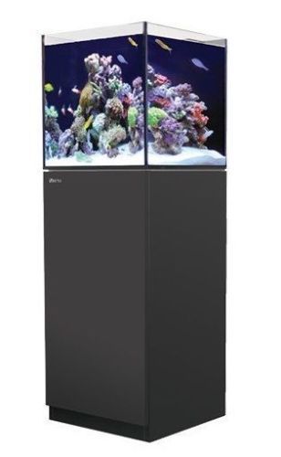 Marine Water Aquariums