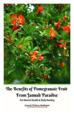 The Benefits of Pomegranate Fruit from Jannah Paradise For Mental Health and