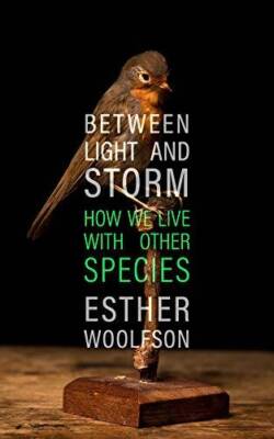 Between Light and Storm - Hardcover By WOOLFSON Esther - ACCEPTABLE