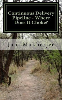 CONTINUOUS DELIVERY PIPELINE - WHERE DOES IT CHOKE: By Juni Mukherjee