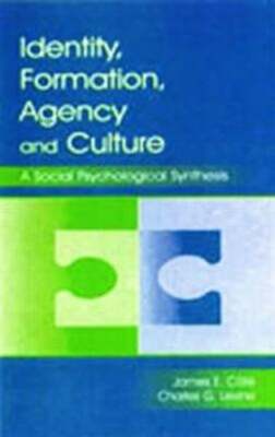 Identity, Formation, Agency, and Culture: A Social Psychological Synthesis: New