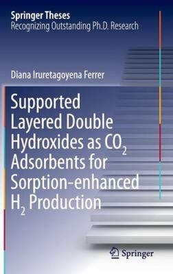 Supported Layered Double Hydroxides as CO2 Adsorbents for Sorption-enhanced H2