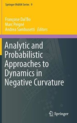 Analytic and Probabilistic Approaches to Dynamics in Negative 