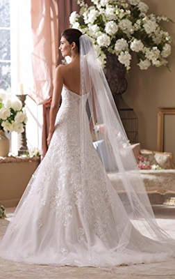 Passat Champagne 1 Tier 2M Floral Beaded Scallop Edge Cathedral Bridal Veil with