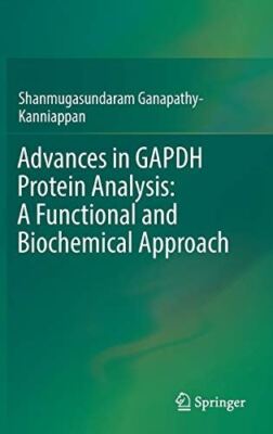 Advances in GAPDH Protein Analysis: A Functional and Biochemical