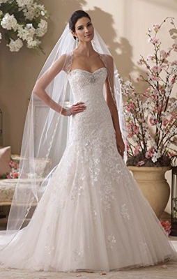 Passat Champagne 1 Tier 2M Floral Beaded Scallop Edge Cathedral Bridal Veil with