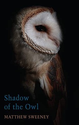 Shadow of the Owl By Matthew Sweeney