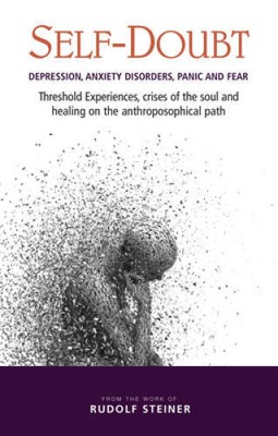 Self-Doubt: Depression, Anxiety Disorders, Panic, and Fear - Paperback - GOOD