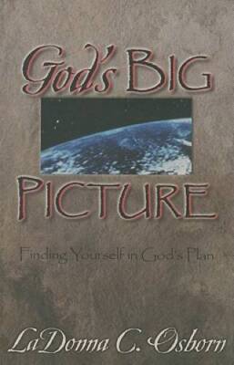 God's Big Picture: Finding yourself in God's plan - Paperback - VERY GOOD