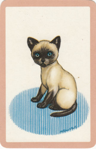 Mikey Lots of cats Collection Vol.2 Lisa Larson mikey