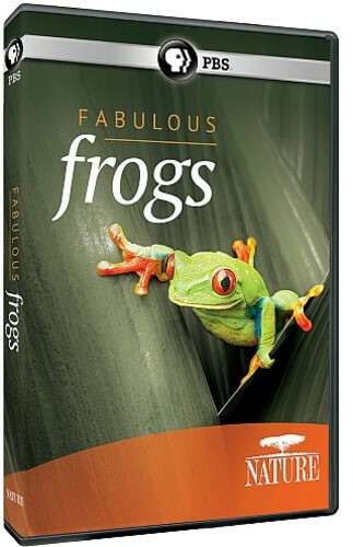 FROGS   初演DVD 91O484iAZ1L._UF350,350_QL50_.jpg