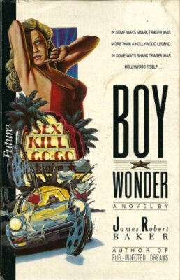 Boy Wonder by Baker, James Robert Book The Fast Free Shipping