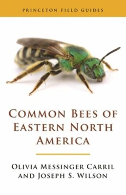 Common Bees of Eastern North America by Olivia Messinger Carril: New