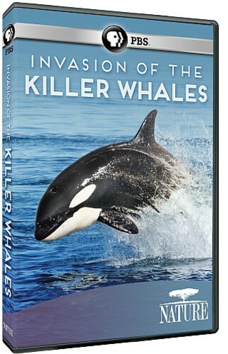 Nature: Invasion of the Killer Whales (DVD) for sale online | eBay