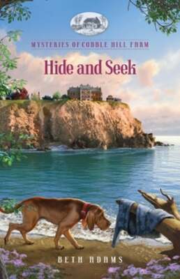 Hide and Seek by Beth Adams: New
