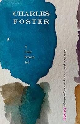 A little brown sea, Foster, Charles