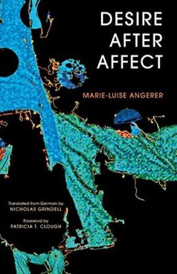 Desire After Affect (Paperback) (2014) (New)