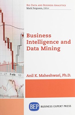 Business Intelligence and Data Mining (Big Data and Business Analytics)