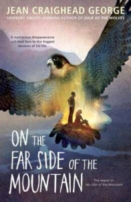 On the Far Side of the Mountain - Paperback By Jean Craighead George - VERY GOOD