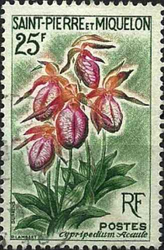 Timbre Flore OrchidÃ©Es St Pierre Et Miquelon 362 O (52521bc)