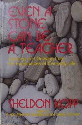 Even a Stone Can Be a Teacher: Learning and Growing from the Experiences  - GOOD