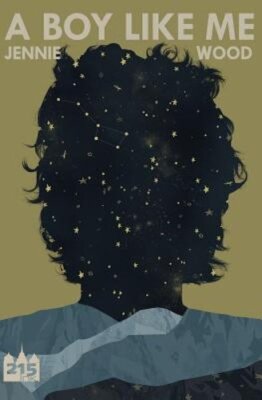 A Boy Like Me by Jennie Wood: New