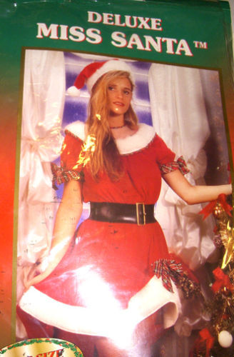 Rubie's Christmas Halloween Dress Costumes for Women