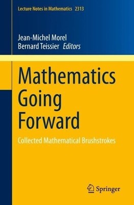 Jean-Michel Morel Mathematics Going Forward (Paperback) (UK IMPORT)