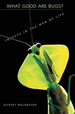 What Good Are Bugs?: Insects in the Web of Life - Paperback - ACCEPTABLE