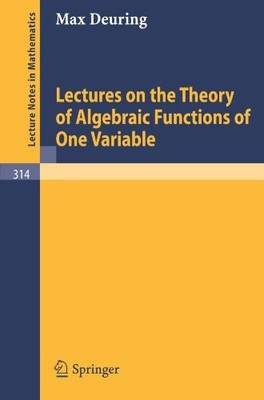 Lectures on the Theory of Algebraic Functions of One Variable (Lecture Notes ...