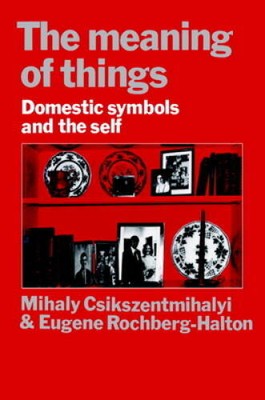 The Meaning of Things: Domestic Symbols and the Self - Paperback - VERY GOOD